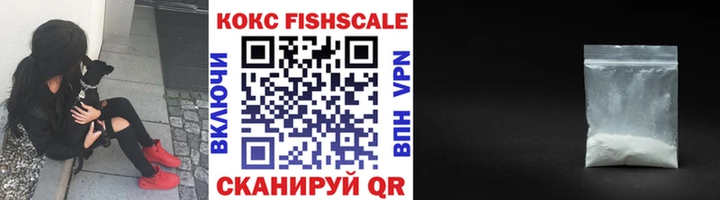 Купить закладки  Биробиджан  COCAIN 97% 