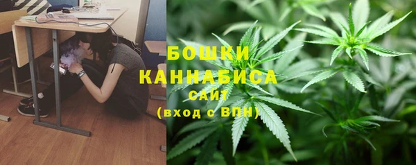 прущая мука Каменка