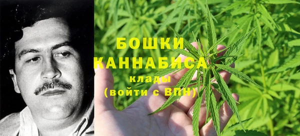 прущая мука Каменка