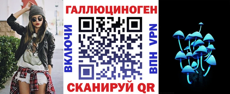 Псилоцибиновые грибы Psilocybe  Купить где  Биробиджан 