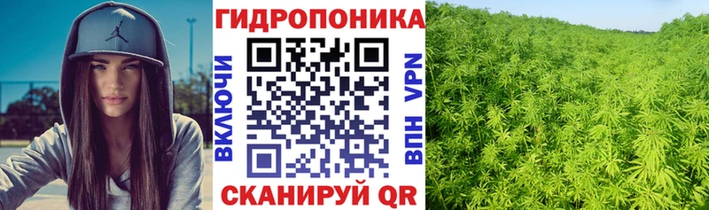 Бошки Шишки SATIVA & INDICA  Купить закладки  Биробиджан 